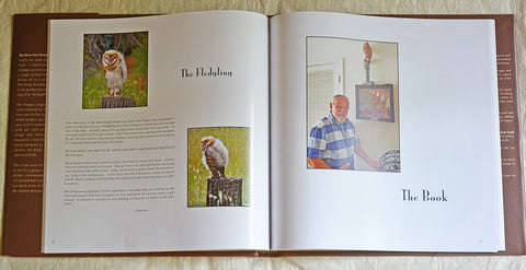 The Barn Owl Project Book