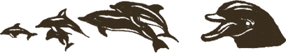 Dolphins Design