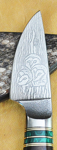 2 inch Dropped Edge Utility Knife with 'Three Baby Barn Owls"