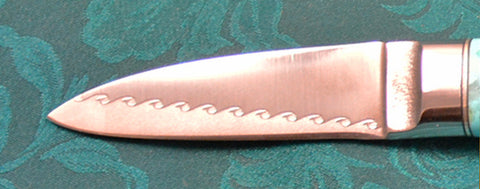 2.5 inch Persona Paring Knife with 'Wavy Rainbird' Etching.