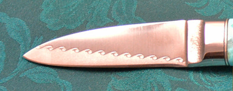 2.5 inch Persona Paring Knife with 'Wavy Rainbird' Etching.
