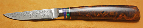 3 inch Paring Knife with 'Grapevine' Etching and Burled Desert Ironwood Handle.