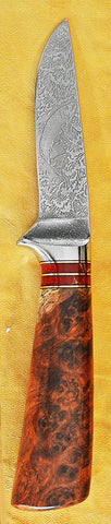 4 inch Dropped Point Hunter with 'Salmon' Etching and Amboyna Burl Handle.