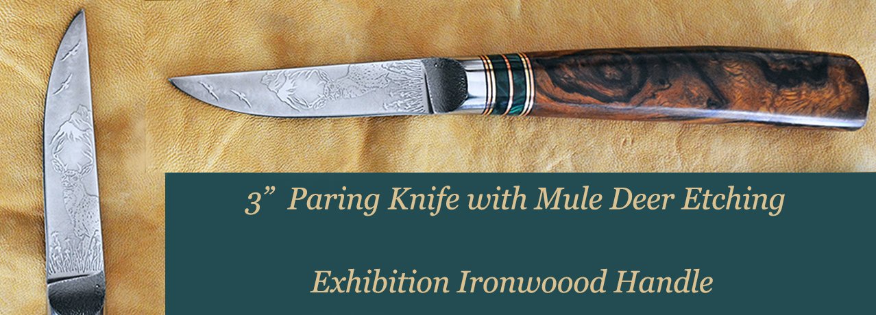 3" Paring Knife with Mule Deer Etching and Desert Ironwood Handle